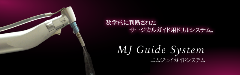 エムジェイガイドシステム