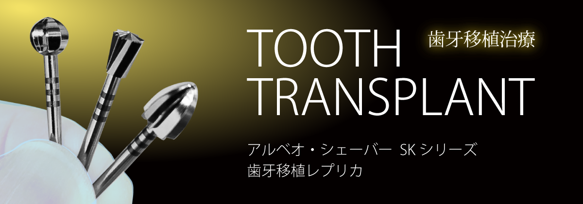 アルベオ・シェーバーSKシリーズ/歯牙移植レプリカ